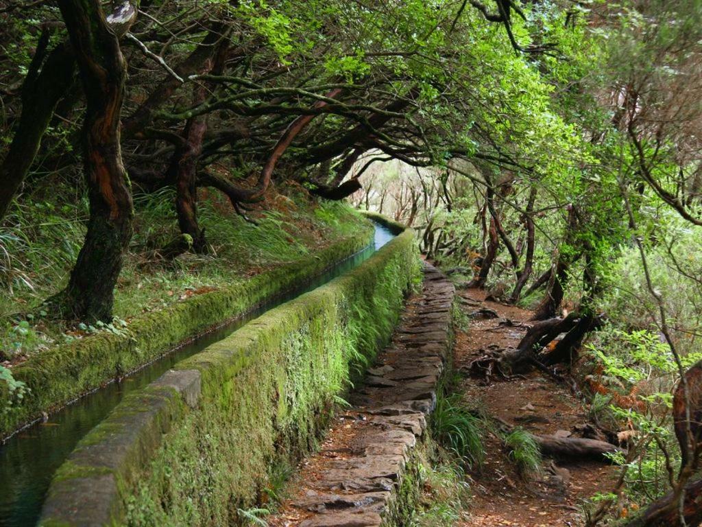 Casa dos Serrões Calheta  Exterior foto